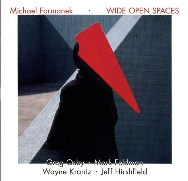 FORMANEK, MICHAEL  - WIDE OPEN SPACES