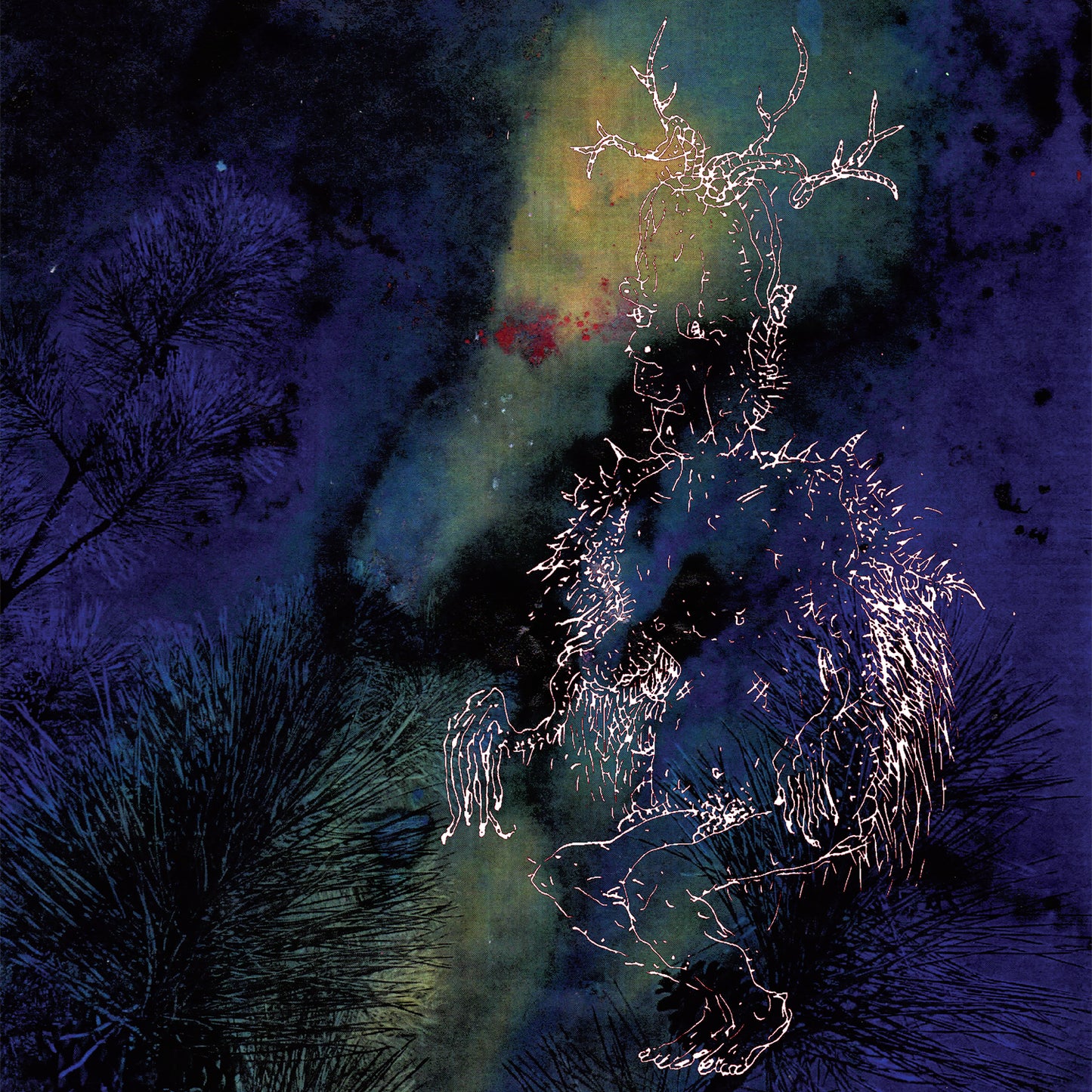 BARDO POND  - UNDER THE PINES