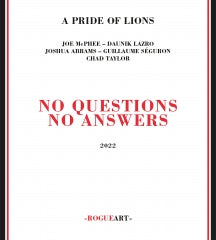 A PRIDE OF LIONS - NO QUESTIONS NO ANSWERS [CD]