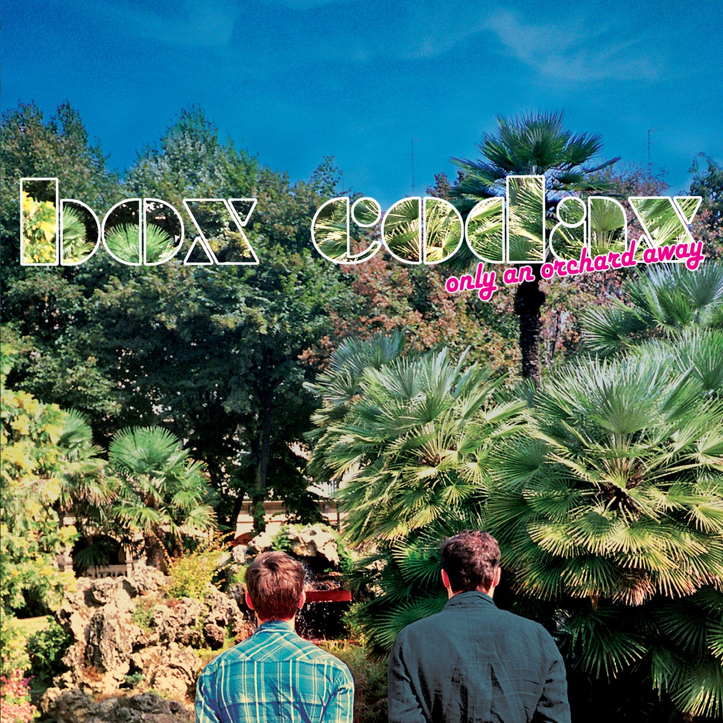 BOX CODAX  - ONLY AN ORCHARD AWAY