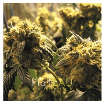 PLATEAU - KUSHBUSH [LP]