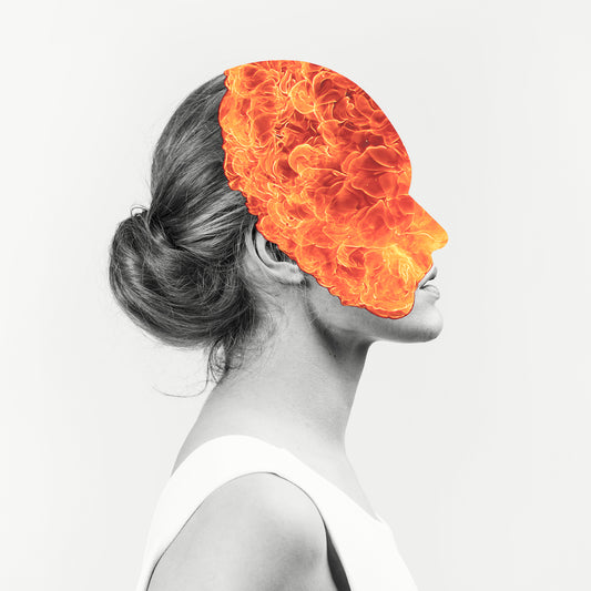AGENT FRESCO  - DESTRIER