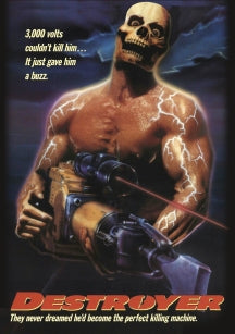 DESTROYER [DVD]