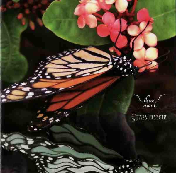 MORI, IKUE  - CLASS INSECTA