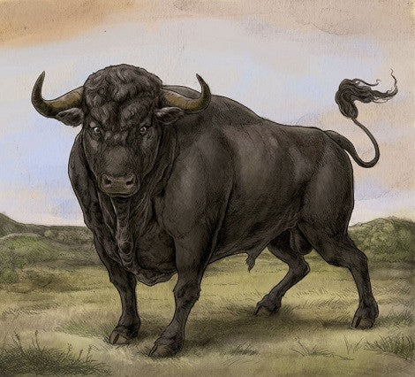 SAN FERMIN  - ST
