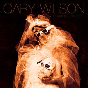 WILSON, GARY  - ELECTRIC ENDICOTT