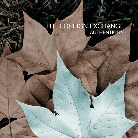 FOREIGN EXCHANGE  - AUTHENTICITY