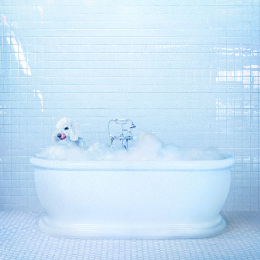 COSMOS, FRANKIE  - VESSEL