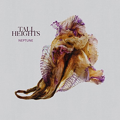 TALL HEIGHTS  - NEPTUNE