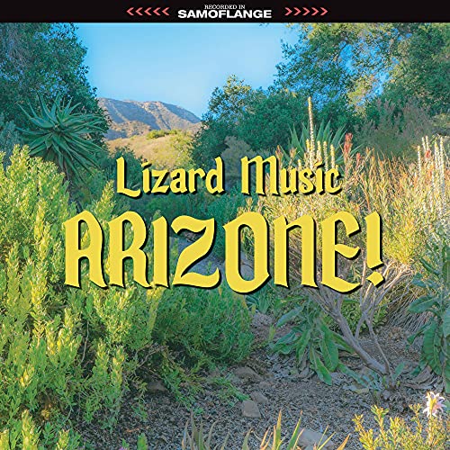 LIZARD MUSIC - ARIZONE! (VINYL)
