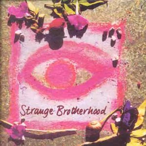 NEW MODEL ARMY  - STRANGE BROTHERHOOD