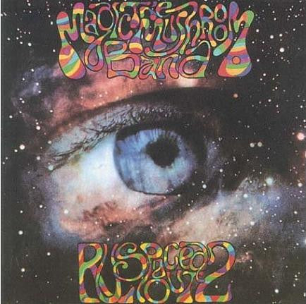 MAGIC MUSHROOM BAND  - R U SPACED OUT 2