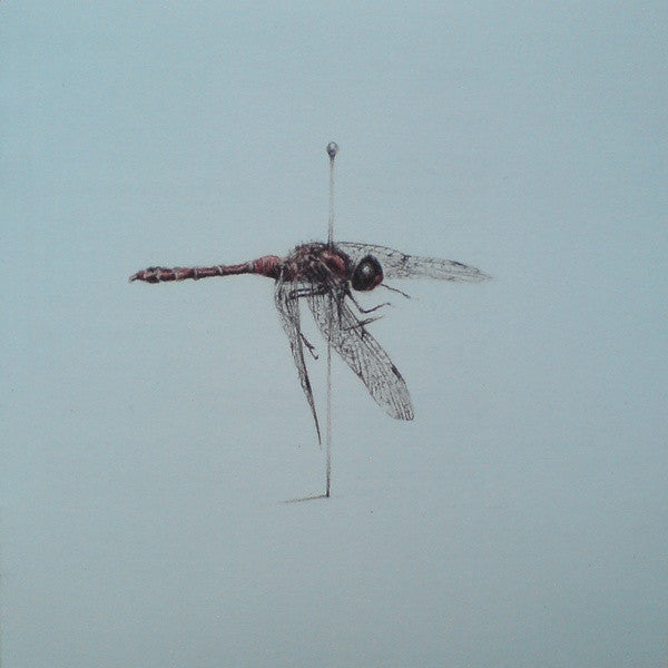WARM WIDOW  - WIDOWER