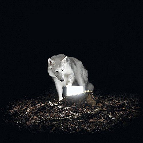 VANISHING LIFE - SURVEILLANCE (CD)