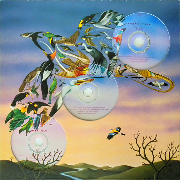 TALK TALK - LAUGHING STOCK CD COLLECTION (3CD BOXSET