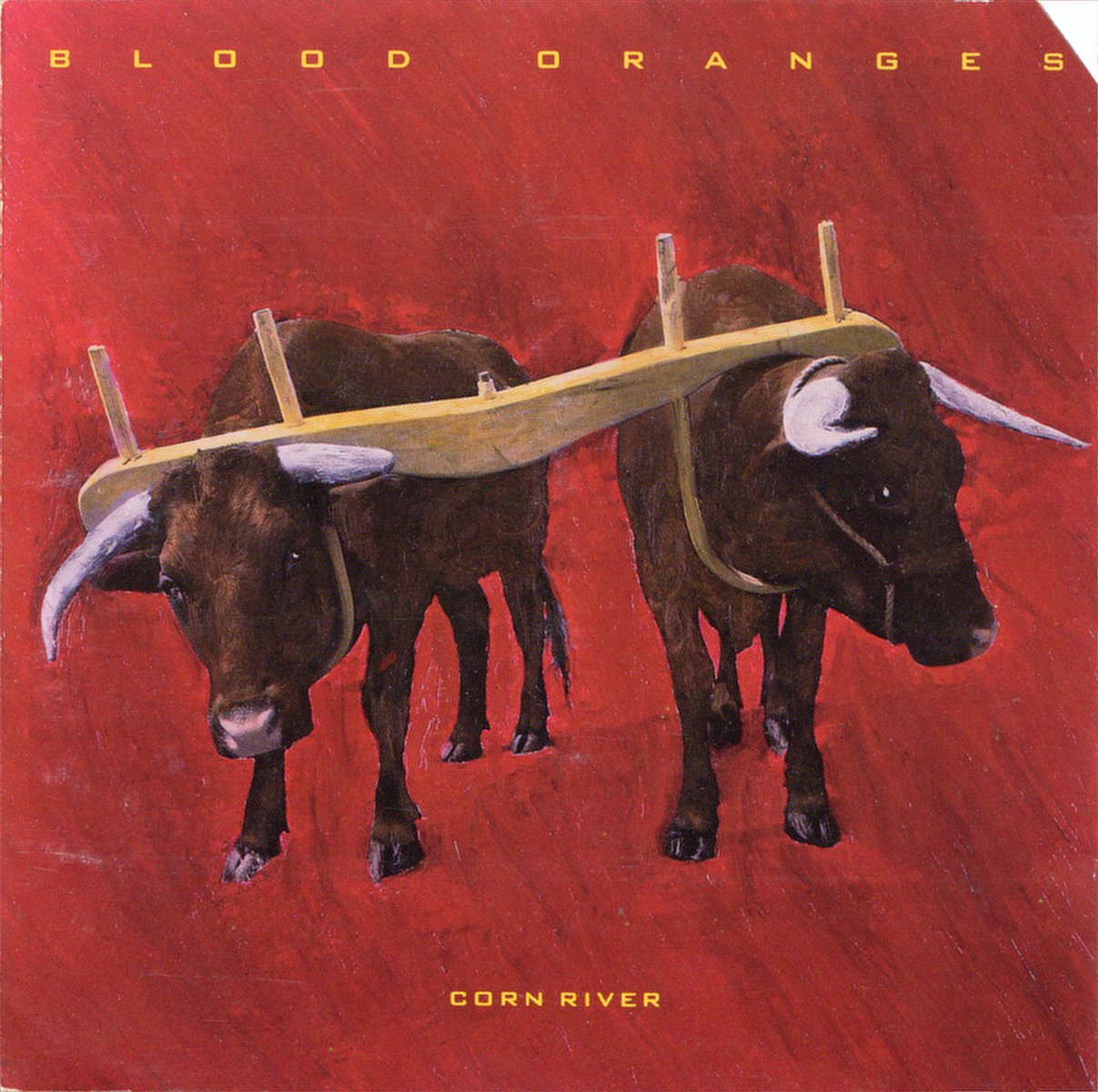 BLOOD ORANGES  - CORN RIVER