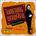 TERFEL, BRYN - SOMETHING WONDERFUL-SINGS RODGERS & HAMM