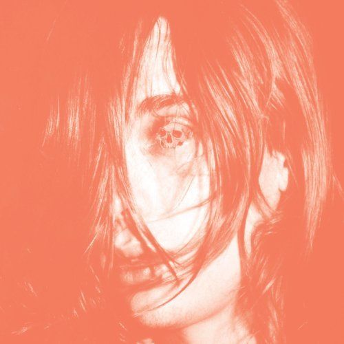 DEERHUNTER  - MICROCASTLE