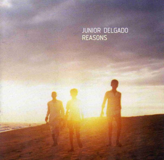 DELGADO, JUNIOR  - REASONS