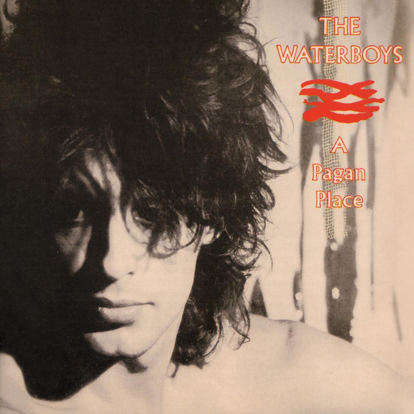 WATERBOYS  - A PAGAN PLACE