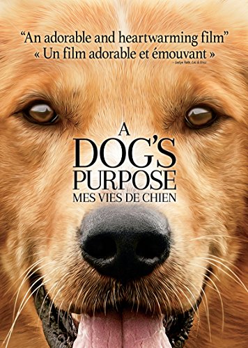 A DOG’S PURPOSE (BILINGUAL)