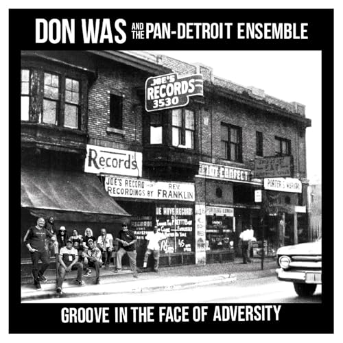 DON WAS - GROOVE IN THE FACE OF ADVERSITY (VINYL)