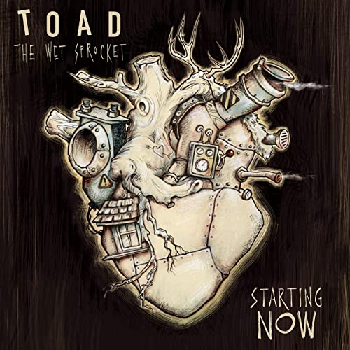 TOAD THE WET SPROCKET  - STARTING NOW