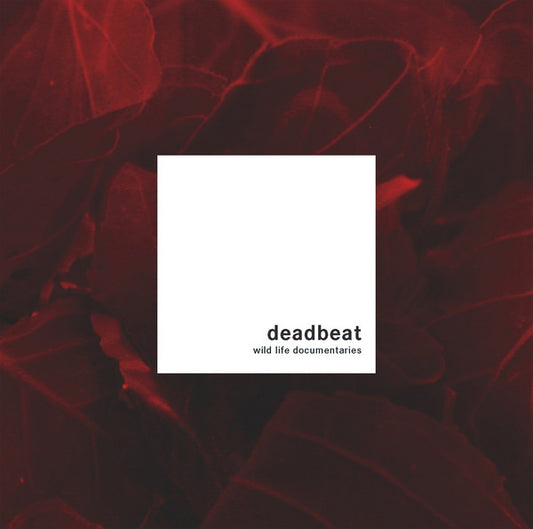DEADBEAT  - WILD LIFE DOCUMENTARIES