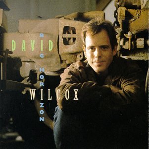WILCOX, DAVID - BIG HORIZON