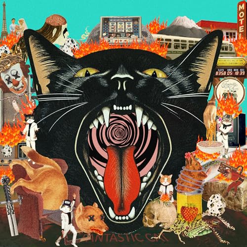 FANTASTIC CAT - CAT OUT OF HELL (VINYL)