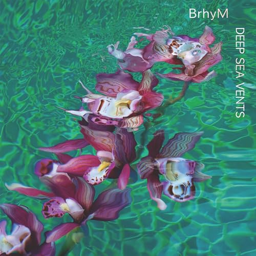 BRHYM - DEEP SEA VENTS (CD)