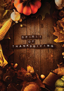 THE SPIRIT OF THANKSGIVING [DVD]