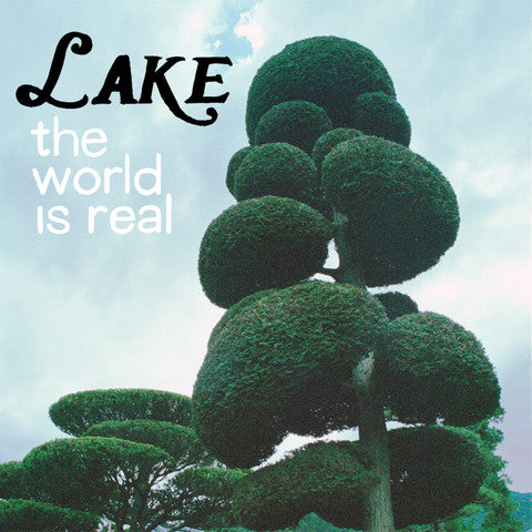 LAKE  - WORLD IS REAL