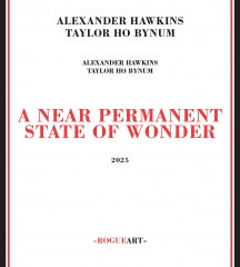 ALEXANDER HAWKINS & TAYLOR HO BYNUM - A NEAR PERMANENT STATE OF WONDER [CD]