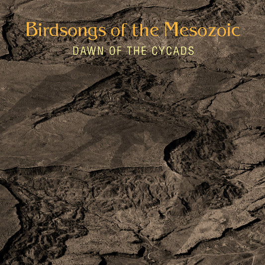 BIRDSONGS OF THE MESOZOIC  - DAWN OF THE CYCADS