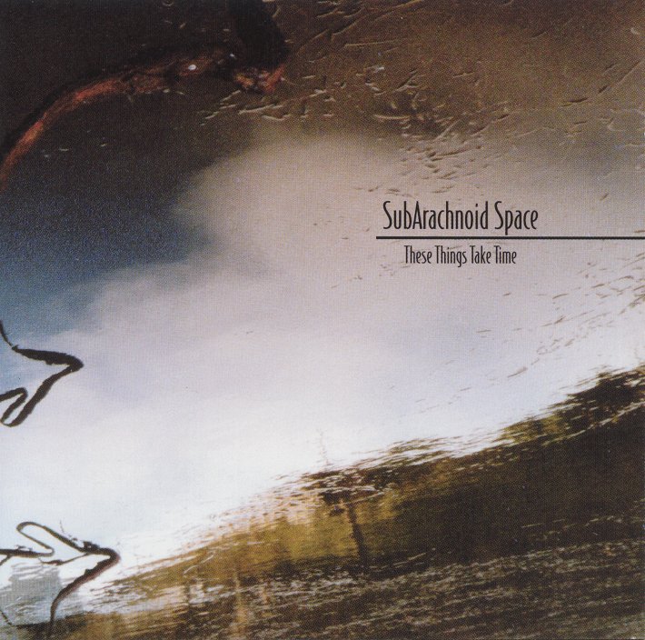 SUBARACHNOID SPACE  - THESE THINGS TAKE TIME