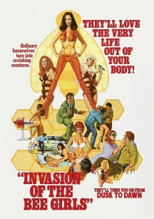 INVASION OF THE BEE GIRLS [DVD]
