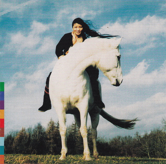 LHAMO, YUNGCHEN  - COMING HOME