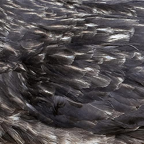 ARSTIDIR - ARSTI?IR (CD)