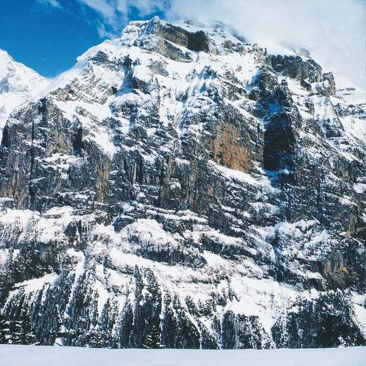 MOLOKO  - I AM NOT A DOCTOR