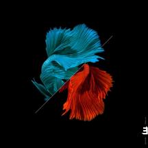 JULIAN ARGUELLES - TONADAS [CD]