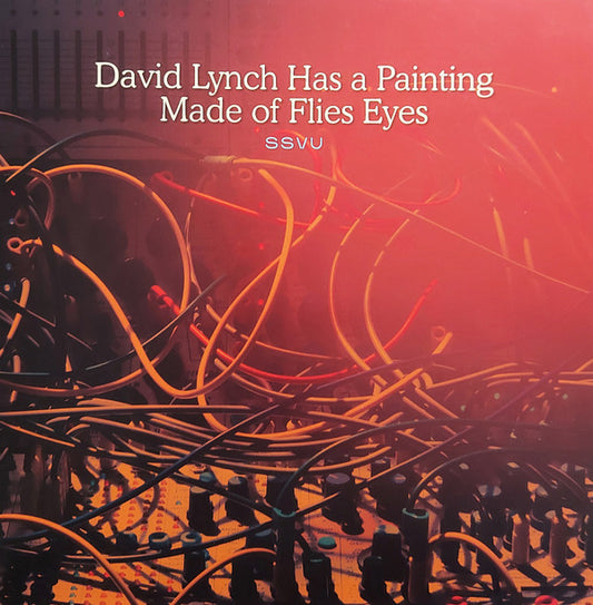 SSVU - DAVID LYNCH HAS A PAINTING MADE OF FLIES EYES (VINYL)