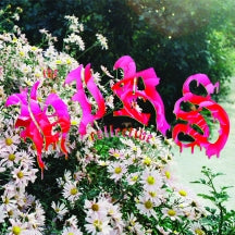 HIRS COLLECTIVE - FRIENDS. LOVERS. FAVORITES. [CD]