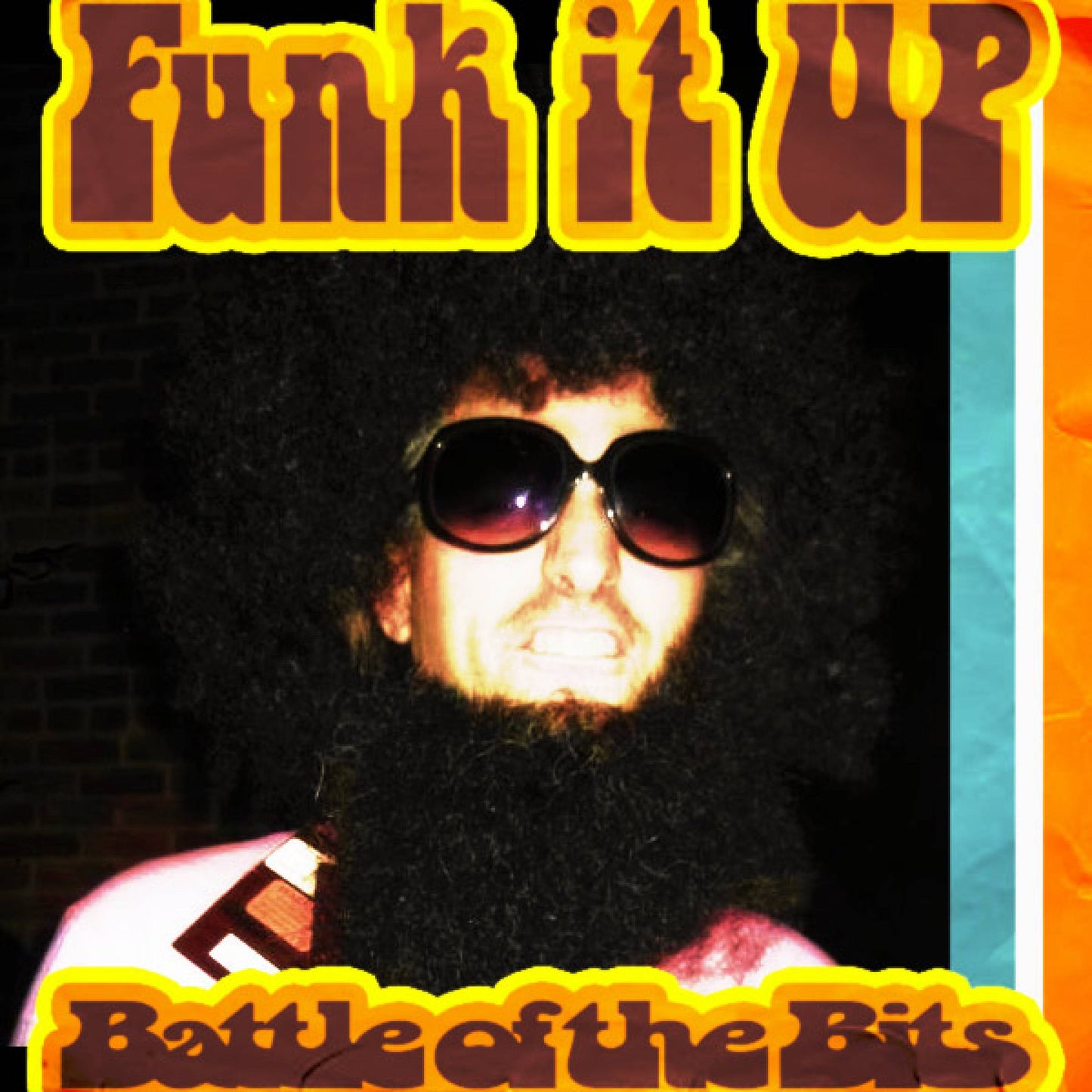VARIOUS  - FUNK IT!