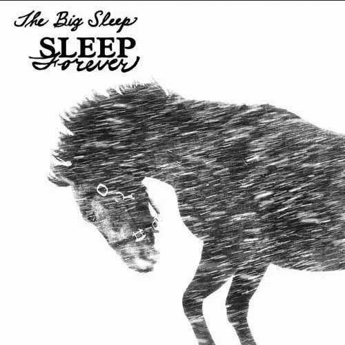 BIG SLEEP  - SLEEP FOREVER