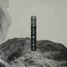 VESTIGIAL - DESCENDING VASTNESS [CD]