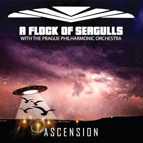 FLOCK OF SEAGULLS - ASCENSION (CD)