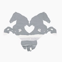 HEIDI LYNNE GLUCK - PONY SHOW [LP]