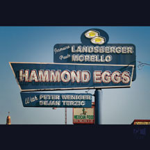 JERMAINE LANDSBERGER & MORELL - HAMMOND EGGS [CD]