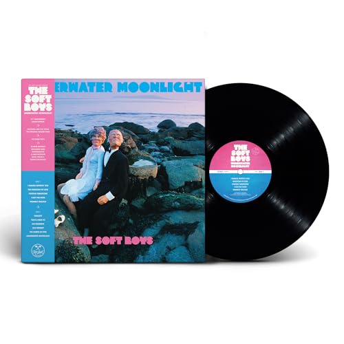 THE SOFT BOYS - UNDERWATER MOONLIGHT (45TH ANNIVERSARY REMASTER) (BLACK VINYL)